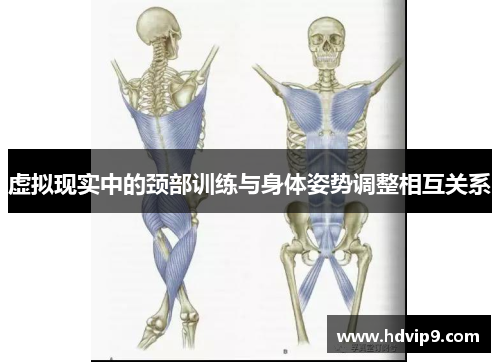 虚拟现实中的颈部训练与身体姿势调整相互关系